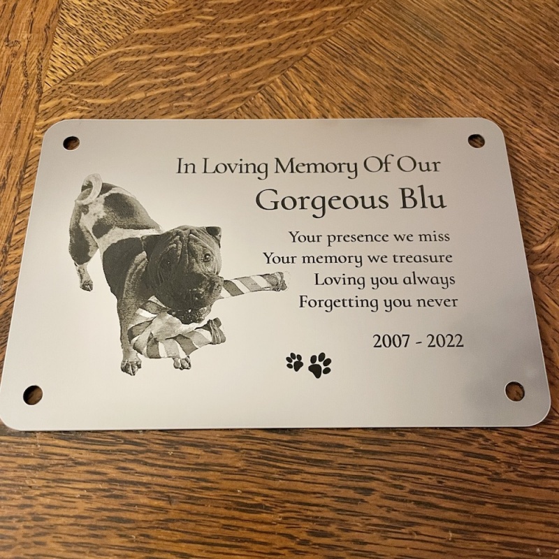 Memorial Plaque in Remembrance Dog Cat Pet Plaque with Photograph Personalised 15 x 9.5 cm / 6 x 3.75 inch - we also offer custom sizes